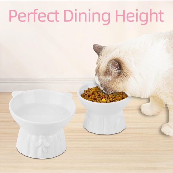 2 pack Ceramic Cat Food Bowl - Picture 3 of 6